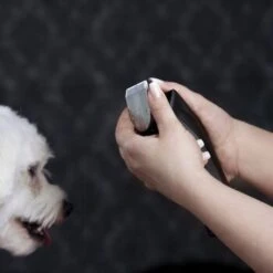 Moser Schermaschine Arco Pro -Heimtierbedarf Rabatte d1c65d2d167a6d8fa4a6793a53ee3362d025451e ecb090312fbe9e8eac9c719cb575336bebaad472