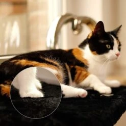 Lionto Katzenliege Für Fensterbank Schwarz -Heimtierbedarf Rabatte d381822ef5a95c89b1fff706447b9d97f29f0c7f 1665905 de DE 5457dd2248cdfada4018574e89708e1db05800ecjUEbgx