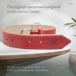 Freudentier Gefüttertes Halsband Aus Leder Rot L -Heimtierbedarf Rabatte d409cad84e2e26e5e855246f3d62526ca2fa7cd7 1655241 de DE b688ee419d994f89d4885d7f15c32b5b6f7cc00bZYodZu