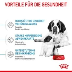 ROYAL CANIN Giant Starter 15kg -Heimtierbedarf Rabatte d514ef03606b57b35e1895eeb5926efaddf3e02c 3182550778831 5