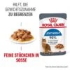 ROYAL CANIN Light Weight Care 12x85g In Soße 2 ROYAL CANIN Light Weight Care 12x85g In Soße -Heimtierbedarf Rabatte d5e62073b49a9d92e5d4409916fcbd4a6d9efc8a 1099138 2