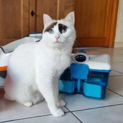 THOMAS Staubsauger -Heimtierbedarf Rabatte d74e3cdb93ec3dcec33da8a346880210d1823b1e 1406733 de DE 817045830cc32e31da1f6ec74c9727ecafc6b086XIONN0