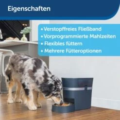 PetSafe Futterautomat Smart Feed -Heimtierbedarf Rabatte d75d18a8d69305d41cdc15b6cd1407ea0bf1197e 1418722 de DE b6612f513df2cce528e0e17914e20260d63a2356T5GctK