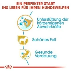 ROYAL CANIN Poodle Puppy 3kg -Heimtierbedarf Rabatte d85ac403c47aed96fc4971788a290d1a23bbe67f e0ab538c5a3f428d49f7b31083a4afb802078973