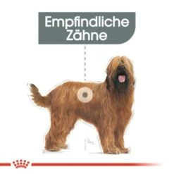 ROYAL CANIN Dental Care Maxi 9 Kg -Heimtierbedarf Rabatte d879558a27b10927060f06ffe48b3b16c9a5fa05 1a0c53f3ef6bd0e9059362423d9c09b49ac2d8c6