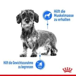 ROYAL CANIN Light Weight Care Mini 8 Kg -Heimtierbedarf Rabatte d88c697ba06de27a17345fad7a39366f1a3a0396 c5b3b0d6c42868fa4150a32ae1163d6c1c3ff29b