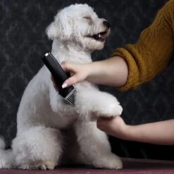 Moser Schermaschine Arco Pro -Heimtierbedarf Rabatte d94979d61f2023cf0118c8257a8bd4066fa8858b ed4a0b808fc43743a84927566ac43a708eadd5ba