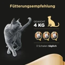 Sheba Classics In Pastete 22x85g Mit Ente & Huhn -Heimtierbedarf Rabatte db3ddb8a2d5a3d236d7dcc9f93be382078be15f4 cfab620511bd0eb34d47d0f7770d3ab65b34729a