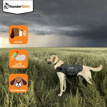 Thundershirt Beruhigungsweste Grau XS 5 Thundershirt Beruhigungsweste Grau XS – Bild 3