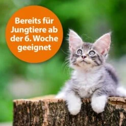 Ardap Zecken- Und Flohpuder 150g -Heimtierbedarf Rabatte dbdf009c8d0233872761402d57b066832841a21c 1341059 de DE 346ada57fd64265cd7e33fec00853a93b033d4599B7b3A