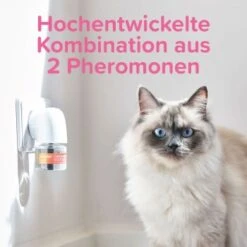 Beaphar CatComfort Excellence Starter-Kit 48ml -Heimtierbedarf Rabatte dc9c523dc7185c6fb064dba2b9c7de82f17a2005 1416646 1 5