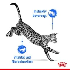 ROYAL CANIN Indoor 7+ Sterilised 12x85g In Gelee -Heimtierbedarf Rabatte dca22440cb7827635f09500dad8e99b040f2182a c2f7cdfba5615f6a0f166d3fda177842edcfb7e7