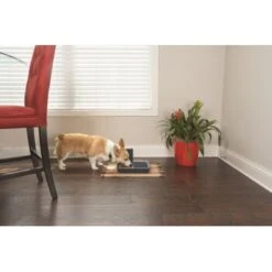 PetSafe Digitaler Futterautomat Für 2 Mahlzeiten -Heimtierbedarf Rabatte dd3fb1748ad72abb1dbd97f6f077b00bb4d76d05 1291255 de DE cf72a75b3fd4f7fd8b7e51ea368585b22239110fFJga5O