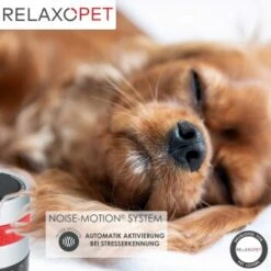 RelaxoPet PRO Entspannungs-Trainer HUND -Heimtierbedarf Rabatte de224d287be26c0354854993fb0e65239f9ec826 1315705 de DE a310aadac7db671f3faae759d92e591bdad669dc4yLyHE