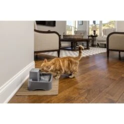 PetSafe Trinkbrunnen 1,8 L -Heimtierbedarf Rabatte df488cf045110a6e0d24fcded3d81de07583d88a 1323706 7