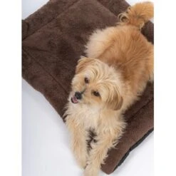 TrendPet SoftPad Gefütterte Liegedecke Braun XS -Heimtierbedarf Rabatte e157885f11637efa8758a142cf84ed9f364122c5 1223181 de DE 27b7c1e49a392f1d89b057672585fbb6ce9e6c10VHE7dd