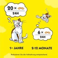 Dreamies Snack-Vielfalt 12x60g -Heimtierbedarf Rabatte e1b190f4f53100ff83c0fb6481ba747fb1f78bad 1297459 2