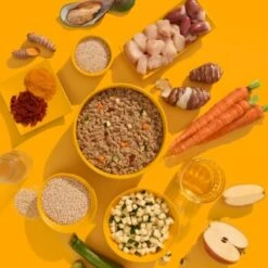 Fred & Felia FRED 10x390g SENIOR Huhn -Heimtierbedarf Rabatte e1b79ce4fcca78b65f2ddaac058c7cf51127f885 1425480 de DE 5839e137be146b37eefb17001235cabca1ecb533rKnH4N