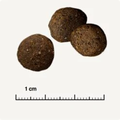 REAL NATURE WILDERNESS Desert Sands Kamel & Pferd 12 Kg -Heimtierbedarf Rabatte e593299b652dffebc36cd625a372440b9780dd80 1297079 de DE 6