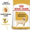 ROYAL CANIN Labrador Retriever Adult 12 Kg 2 ROYAL CANIN Labrador Retriever Adult 12 Kg -Heimtierbedarf Rabatte e6b290c4b439e22d842f45beac20f3f90c9ee4aa d0749efa5b8814e031b15d982bbce30bb0067008