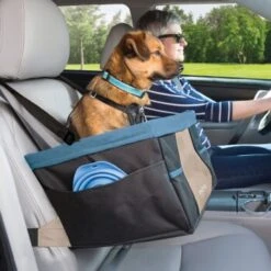 Kurgo Rover Hunde-Autositz, Schwarz/Blau -Heimtierbedarf Rabatte e6ec74585c1cf4b5ddd02b3abf15a60e64dcdcad 1335887 de DE 71fe6aaf61514f5a4ae7ce546fa9700792cbb7ecGRySwk