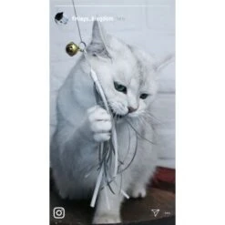 Kater Kasimir Premium Katzenangel Mit 4 Handgemachten Anhängern Aus Naturmaterial -Heimtierbedarf Rabatte e6fe48d27b82d48675d665ee2a143e3c11de2fd9 1408150 de DE b29a5f7f2530ce6388e16e2600369d70b2ec0350kYn6B8