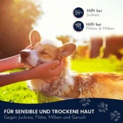 Pawlie's Sensitiv Hundeshampoo Für Hunde -Heimtierbedarf Rabatte e89fe06ff66f08049212bfc10adc10153aeb63cf 1626194 de DE 4976fc58bb1aa66ec74bbce2250fc22a134be1c3oYKgL0