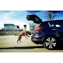 4pets Rampe EasySteps 9 4pets Rampe EasySteps -Heimtierbedarf Rabatte e900a968d8a04ba612530fdd36c5aa69f2fcdb42 13c5bbebb6d2cdec433b668e9fb0bd46dd6f4298