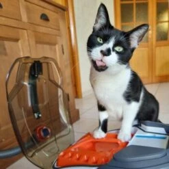 THOMAS Staubsauger -Heimtierbedarf Rabatte e924a64d06d1776c60effa6ed643bd7a6c20fdca 1406733 de DE 08e20bea72feee79416abcd48fd6e6a61e2fc6eav4kQrJ