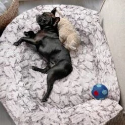 Wallace & Jones Hundebett Cordo-Heaven S -Heimtierbedarf Rabatte e93a1c7230d5e68bce6327ea17899707386bce88 1449008 de DE cd9be4db759cf7be03c3a1803409c0da67c4816eifOskb