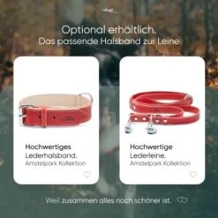 Freudentier Gefüttertes Halsband Aus Leder Rot L -Heimtierbedarf Rabatte edbbec2203d36f9f92e63e25e5dac1465e2212f9 1655241 de DE f27ae6c917577706d4abf31813f6f4ca38005295rnxmmc