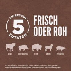 Orijen Regional Red 2 Kg -Heimtierbedarf Rabatte ef7ff38bdb8be41af8e46d17d5a03c4de74bc5da 1261031 de DE ORI Regional Red Dog Carousel 2000x2000 DE2 4
