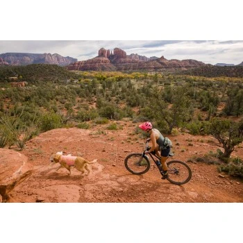 Ruffwear Swamp Cooler Zip™ Kühlweste Für Hunde Pink XL 12 Ruffwear Swamp Cooler Zip™ Kühlweste Für Hunde Pink XL – Bild 10