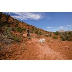 Ruffwear Swamp Cooler Zip™ Kühlweste Für Hunde Pink XL 23 Ruffwear Swamp Cooler Zip™ Kühlweste Für Hunde Pink XL -Heimtierbedarf Rabatte f39337d577f60e5d30ba5addfb811febecbc66e7 1639652 de DE 1ff9fca93caed68be3a65cc55ad0d154f81bf268suJpN2