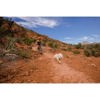 Ruffwear Swamp Cooler Zip™ Kühlweste Für Hunde Pink XL 13 Ruffwear Swamp Cooler Zip™ Kühlweste Für Hunde Pink XL – Bild 11