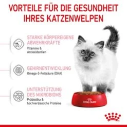 ROYAL CANIN Kitten 4 Kg 20 ROYAL CANIN Kitten 4 Kg -Heimtierbedarf Rabatte f4a05d762cdc5e6b170f6edd236e6bd5b7278cb0 3182550702973 5