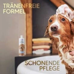 Pawlie's Welpenshampoo 12 Pawlie's Welpenshampoo -Heimtierbedarf Rabatte f56801adb1bee6d0b5fdd328d641fa773ce5d4c4 1626204 de DE 7b87b87a2e48e8c0e12b98c918c4d75b538aae40E5TfEc
