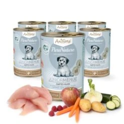 Aniforte Nassfutter Junior Menue Huhn 6 X 400g -Heimtierbedarf Rabatte f57037a1e8e0bc0efe3398c4c5715e55cb28ff0f 1422190 de DE e4f43588e5bd02e95307ff5ee75884f67a546dd8h4OnT7