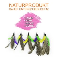 Schlitzohr Katzenangel Federanhänger 5x -Heimtierbedarf Rabatte f6a96b93601c3b2f6f7420ade3ecfe56542cca74 1484675 de DE b1d2fd29ad67016b9a6af908251d348edfa467f2BG8aWR