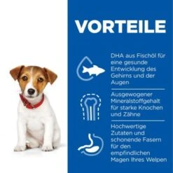 Hill's Science Plan Small & Miniature Puppy Mit Huhn 3 Kg -Heimtierbedarf Rabatte f99e800bdba85688d025c611ec54227734f1645a 52742281704 4