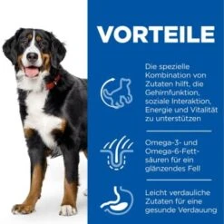 Hill's Science Plan Senior Vitality Large Breed Mature Adult 6+ Mit Huhn 14 Kg -Heimtierbedarf Rabatte f9e7891f0b0bb96357430cc68b8deb1ca3a64989 52742025964 4