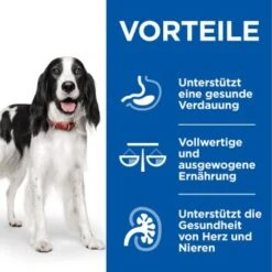 Hill's Science Plan Healthy Cuisine Adult Chicken & Beef Ragout 12x90 G -Heimtierbedarf Rabatte fa56bc810b58f54b8cab67fa457fdfcc90520554 1386414 de DE hills 4