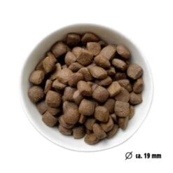 Eat Small EatSmall 3x2kg Maxi Active Trockenfutter -Heimtierbedarf Rabatte fbbfaf0a833b49c22c426aa2a84c1e89a7061771 1492081 de DE 7be7b6abbd10a501ad4eda906b0ca458956766a1RjBOXJ
