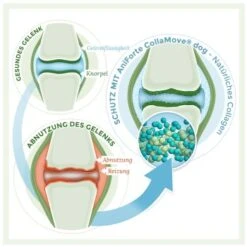 Aniforte CollaMove Kollagen Dog 250 G -Heimtierbedarf Rabatte fbf5a9dc08423de08f5c9740ea99fa2e524d47dc 1457284 de DE 93f83ccbd87110a8284ed4e38cb6148f2a1dc492cVu2P6