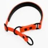 THE DOG IDEA Zugstopp Halsband Orange XS 1 THE DOG IDEA Zugstopp Halsband Orange XS -Heimtierbedarf Rabatte fd51caf51b29f2c78d972c4002fac59ca148d89a 1499712 de DE 0e276463b13d744b77663030b598cd2e62e0e696WJml7g