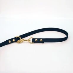 THE DOG IDEA Biothane Hundeleine Gold Navy -Heimtierbedarf Rabatte fdd14f7a195cd7ad9996c568ba5182a18c51c314 1655430 de DE ca7fc5b51cbd0eb0b6ccc17b649b0a7c82011aa2TSAFPk