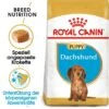 ROYAL CANIN Dachshund Puppy 1,5 Kg 2 ROYAL CANIN Dachshund Puppy 1,5 Kg -Heimtierbedarf Rabatte ffd8eb52b581ab5d7600a9bc6907490e5d171f78 6519c2966b53e65a2a0af4be83e294852ae97051