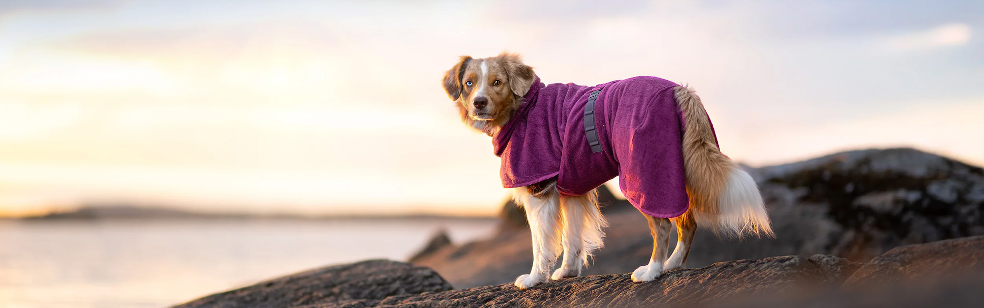 Heimtierbedarf Rabatte 2 Heimtierbedarf Rabatte -Heimtierbedarf Rabatte 1